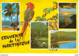 Souvenir De La Martinique Multivues N°101 Vacances à La Plage Forêt Tropicale Anse Mitan Bel Oiseau - Altri & Non Classificati