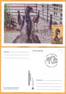 2023  Moldova MAXICARD „Faune. Chisinau Zoological Garden”  Emu (Dromaius Novaehollandiae) - Moldavie