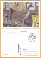 2023  Moldova MAXICARD „Faune. Chisinau Zoological Garden”  Llama (Lama Glama), 3,30 - Moldova