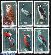 Germany, DDR 1967 Birds 6v, Mint NH, Nature - Birds - Birds Of Prey - Owls - Kingfishers - Neufs