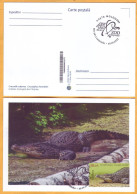 2023  Moldova MAXICARD 10.30 „Faune. Chisinau Zoological Garden”  Cuban Crocodile (Crocodylus Rhombifer) - Moldova