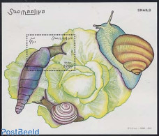 Somalia 2003 Snails S/s, Mint NH, Nature - Shells & Crustaceans - Vita Acquatica
