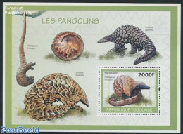 Togo 2010 Pangolin S/s, Mint NH, Nature - Animals (others & Mixed) - Togo (1960-...)