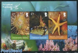 Falkland Islands 2013 Marine Life S/s, Mint NH, Nature - Various - Shells & Crustaceans - Joint Issues - Meereswelt