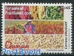 Uruguay 2013 Quinua 1v, Mint NH, Various - Agriculture - Agricultura