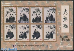 Dominica 1996 Panda Bears M/s, Mint NH, Nature - Animals (others & Mixed) - Pandas - Repubblica Domenicana