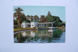 TUNIS  -  Parc Du Belvédère   -  TUNISIE - Tunisie