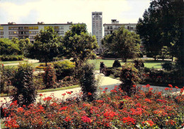 76 - Le Havre - Le Square Saint Roch - Square Saint-Roch