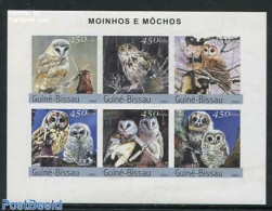 Guinea Bissau 2004 Owls & Windmills 6v M/s, Imperforated, Mint NH, Nature - Various - Birds - Birds Of Prey - Owls - M.. - Molinos