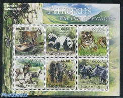 Mozambique 2011 Animals 6v M/s, Mint NH, Nature - Animals (others & Mixed) - Cat Family - Elephants - Rhinoceros - Mozambico
