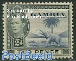 Gambia 1938 2p, Stamp Out Of Set, Mint NH, Nature - Elephants - Gambia (...-1964)