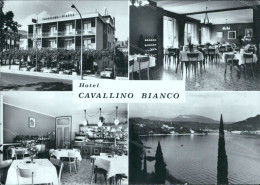 G746 Cartolina Garda Hotel Cavallino Bianco Provincia Di Verona Veneto - Verona