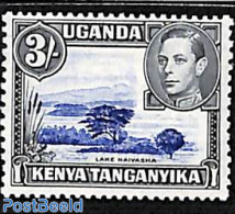 East Africa 1938 3Sh, Perf. 13:11.75, Stamp Out Of Set, Unused (hinged), Nature - Trees & Forests - Rotary, Lions Club