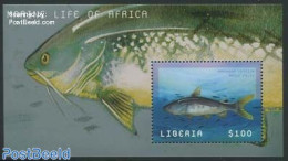 Liberia 2001 Arius Felis S/s, Mint NH, Nature - Fish - Pesci