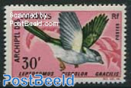 Comoros 1967 30Fr, Stamp Out Of Set, Mint NH, Nature - Birds - Isole Comore (1975-...)