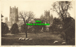 R614780 Ely Cathedral From South. 5837. Photochrom - Mundo