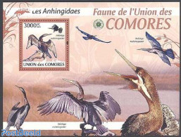 Comoros 2009 Albatross S/s, Mint NH, Nature - Birds - Comores (1975-...)