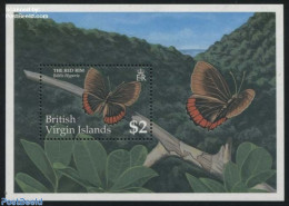 Virgin Islands 1991 Biblis Hyperia S/s, Mint NH, Nature - Butterflies - British Virgin Islands