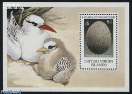 Virgin Islands 1990 Phaeton Aethereus S/s, Mint NH, Nature - Birds - Iles Vièrges Britanniques