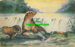R616073 Otter. Maude Scrivener. S. Hildesheimer. British Animals Series No. 5372 - Mundo