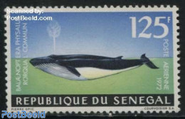 Senegal 1972 125F, Stamp Out Of Set, Mint NH, Nature - Sea Mammals - Senegal (1960-...)