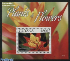 Guyana 2015 Plants & Flowers S/s, Mint NH, Nature - Flowers & Plants - Guyane (1966-...)