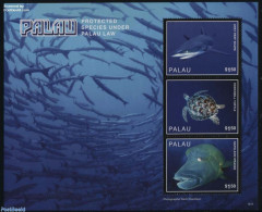 Palau 2016 Protected Species 3v M/s, Mint NH, Nature - Fish - Turtles - Vissen