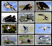 Penrhyn 2018 Birds Of Prey 12v (with White Borders), Mint NH, Nature - Birds - Art - Cervantes - Schrijvers