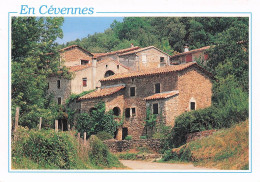 HAMEAU DES AIGLADINES .  Demeures Cévenoles . LES Cévennes . - Other & Unclassified