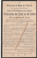 Adel, Noblesse, Eygenie-Louise, Princesse De Croÿ Et De Solre, Née Comtesse De Croix, Décédée Au Chateau De Drée - Andachtsbilder