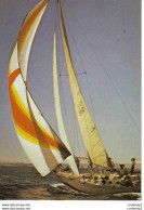 Sport Voile Course Voilier N°203 1 Grafiche Biondetti Verona VOIR DOS - Segeln