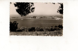 BANDOL (carte Photo) - Bandol