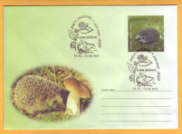 2015 2011 Moldova Moldavie Moldau Special Cancellations "Month Of The Forest" Orhei Hedgehogs, Mushrooms, Snails - Moldawien (Moldau)