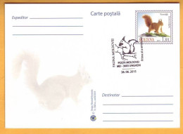 2015 Moldova Moldavie Moldau  FDC  Fauna Wildlife. Postcard With An Original Postage Stamp Squirrel Eichhörnchen - Moldawien (Moldau)