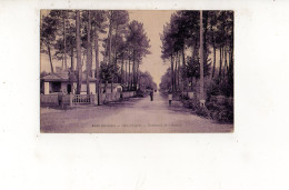 ARES - Boulevard De L'Aérium (carte Animée) - Arès