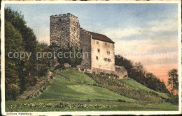 11745385 Habsburg Schloss Habsburg Habsburg - Other & Unclassified