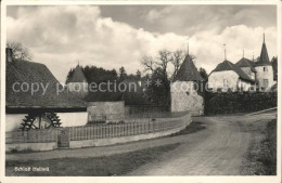 11745375 Hallwil Schloss Hallwil Hallwil - Andere & Zonder Classificatie