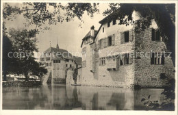 11745365 Hallwil Schloss Hallwil Hallwil - Andere & Zonder Classificatie