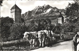 11741865 Luzern LU Museggtuerme Und Pilatus Ochsengespann Luzern - Other & Unclassified