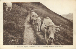 (S) Superbe LOT N°16 De 50 Cartes Postales Anciennes Régionalisme Dont Châteaux - 5 - 99 Postkaarten