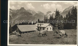 11736505 Engelberg OW Arnialp Mit Hahnen Schlossberg Und Spann?rter Engelberg OW - Autres & Non Classés