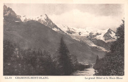 74-CHAMONIX MONT BLANC-N°T1070-A/0201 - Chamonix-Mont-Blanc