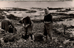 N°1884 W -cpsm île De Ré -femme Travaillant Dans Les Parcs à Huîtres- - Fischerei