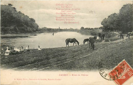 40* LANDES Rives De L Adour  Chevaux     MA101,0732 - Autres & Non Classés