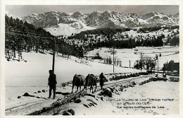 38* VILLARD DE LANS Attelage     MA101,0413 - Autres & Non Classés