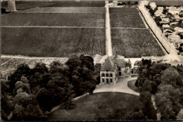 N°1887 W -cpsm Château Haut Brion -1er Grand Cru Classé -Pessac- - Viñedos