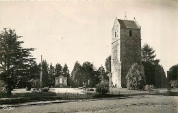 50* ST HILAIRE DU HARCOUET Tour    (cpsm 9x14)    MA102,0109 - Saint Hilaire Du Harcouet