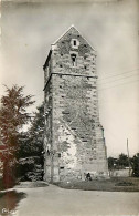 50* ST HILAIRE DU HARCOUET Vieille Tour  (cpsm 9x14)       MA102,0102 - Saint Hilaire Du Harcouet