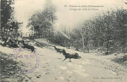 60* ERMENONVILLE Chasse Aux Cerfs        MA102,1134 - Jacht