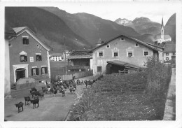 Dorfpartie Aus Alt Herde Se Ziegen Chèvres  ( 10x 15) - Zernez